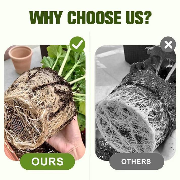 Soluble Disease Control Fertilizer 100 ml Pack of 1