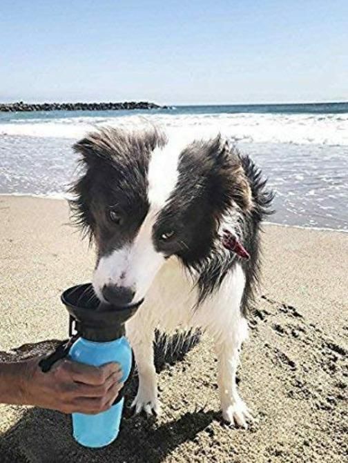 Portable Dog Water Bottle