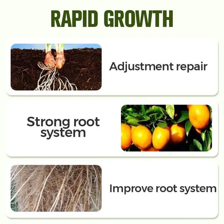 Soluble Disease Control Fertilizer 100 ml Pack of 1